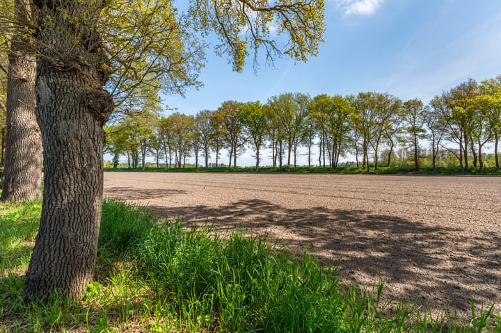 Foto 5 van Hoofdweg Wedderveer 19