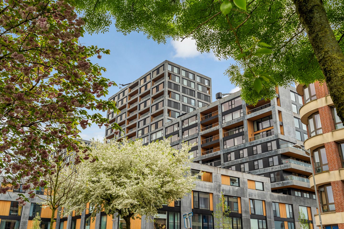 Foto 1 van Maashaven N.z. 731