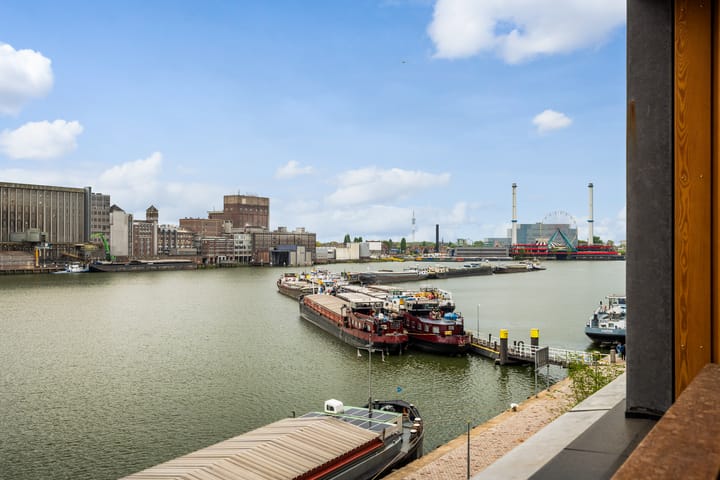 Foto 4 van Maashaven N.z. 731