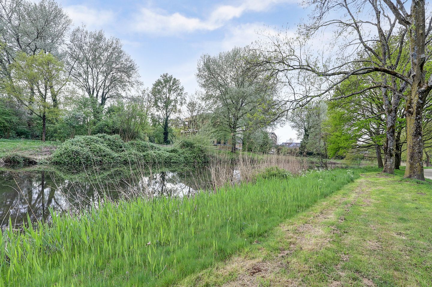 Foto 40 van Rigolettostraat 3