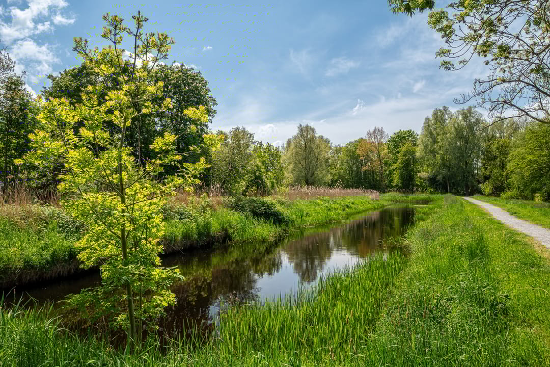 Foto 11 van Nesciolaan 137