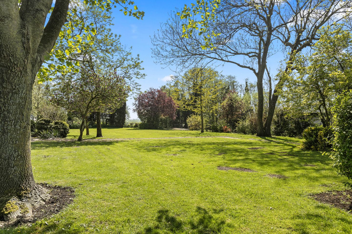 Foto 59 van Benedenberg 94