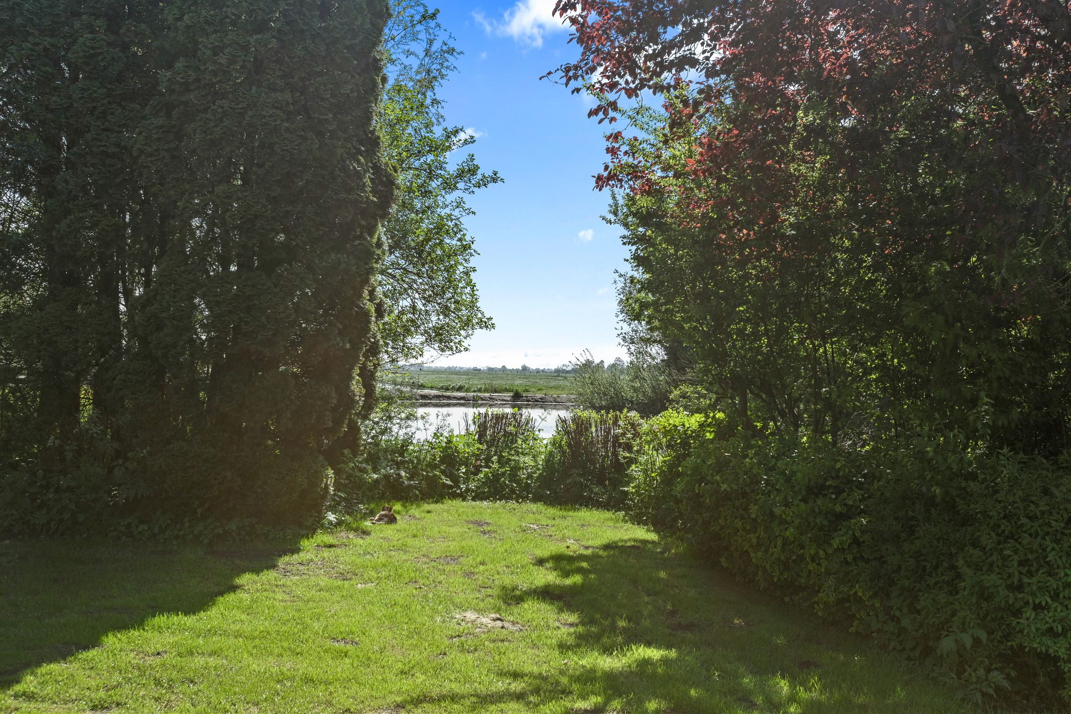 Foto 60 van Benedenberg 94