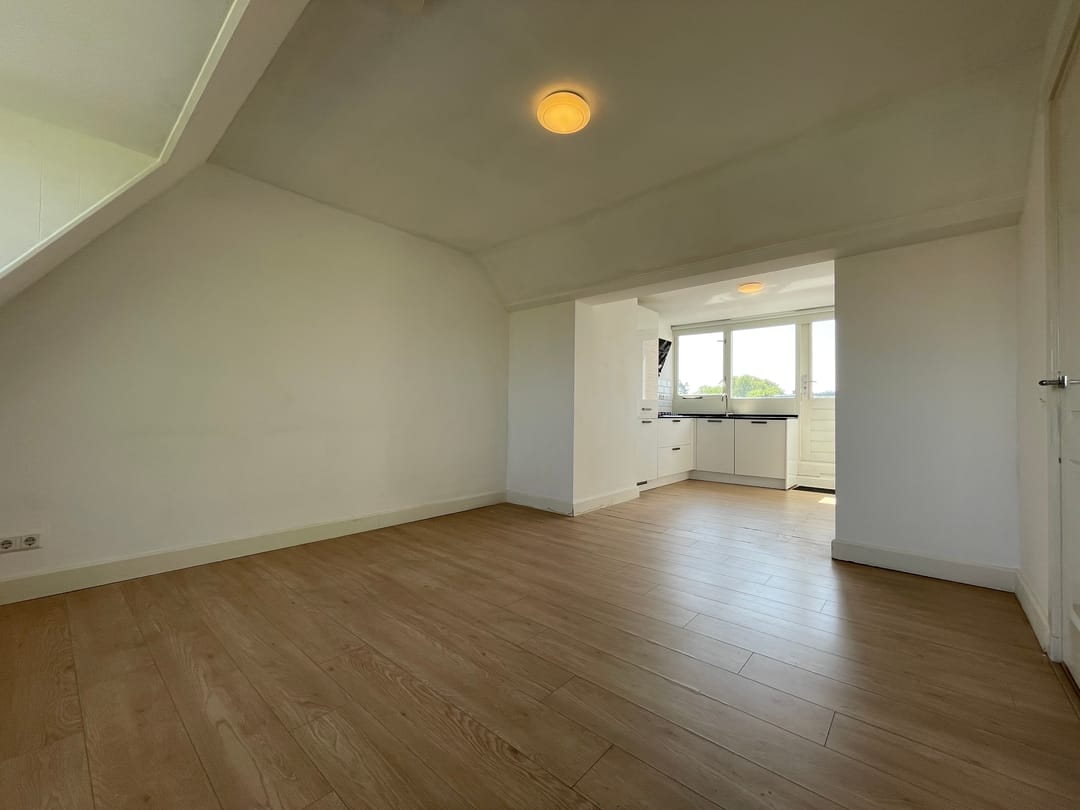 Foto 2 van Soestdijksekade 733-B