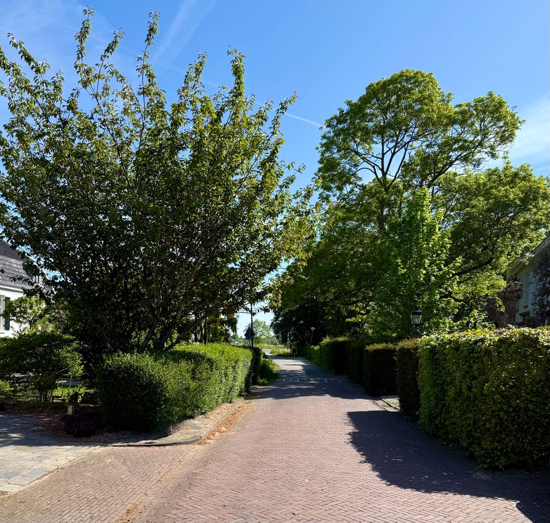 Photo 37 of Kerklaan 14