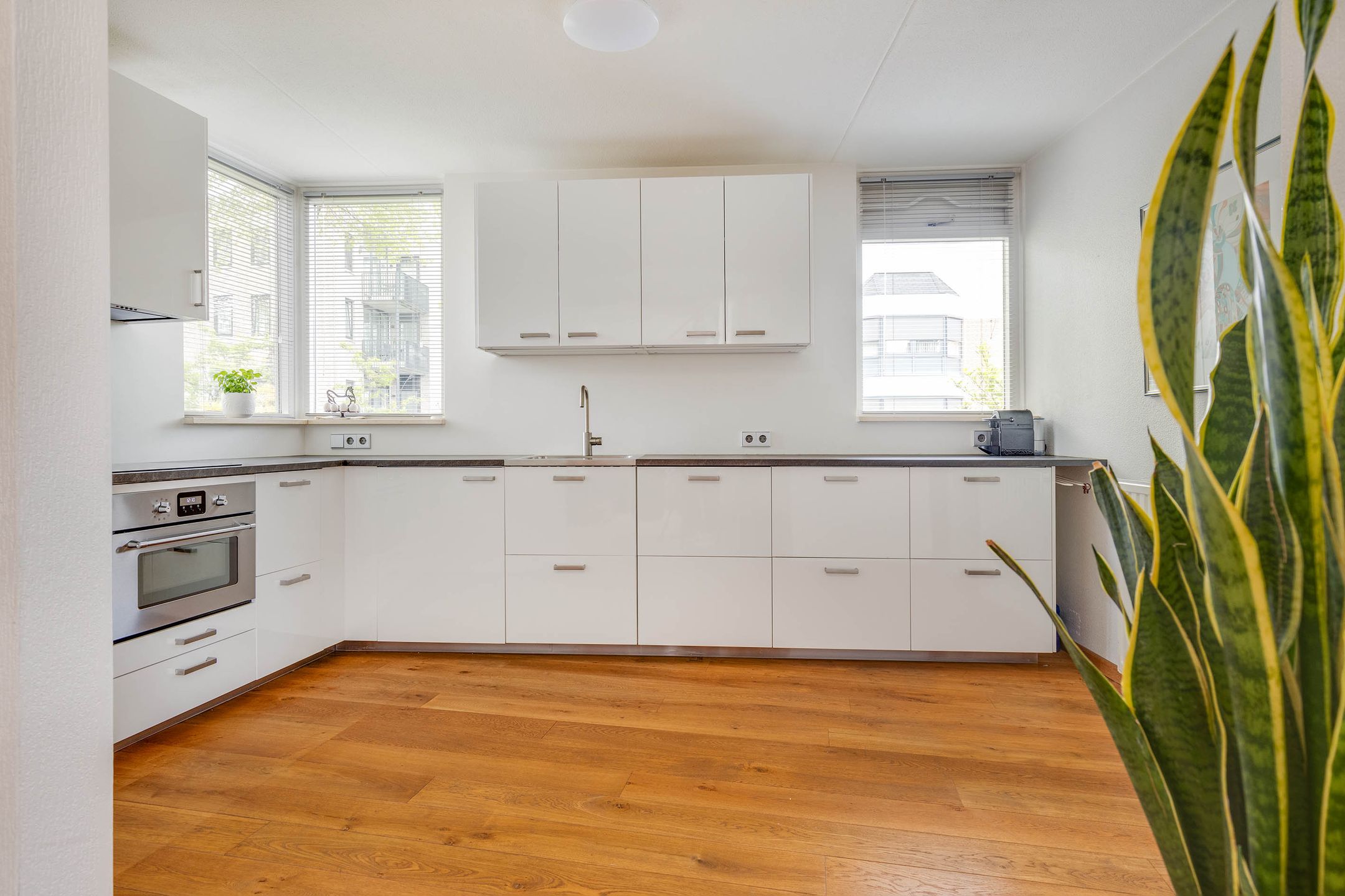 Foto 3 van Raadhuispark 8