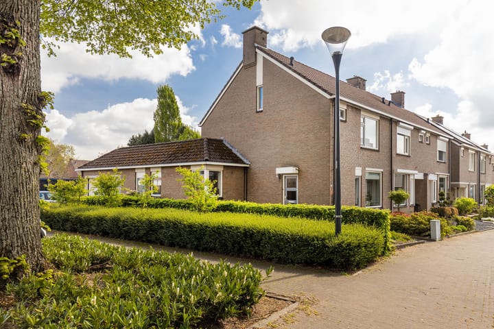 Foto 9 van Raadhuispark 8