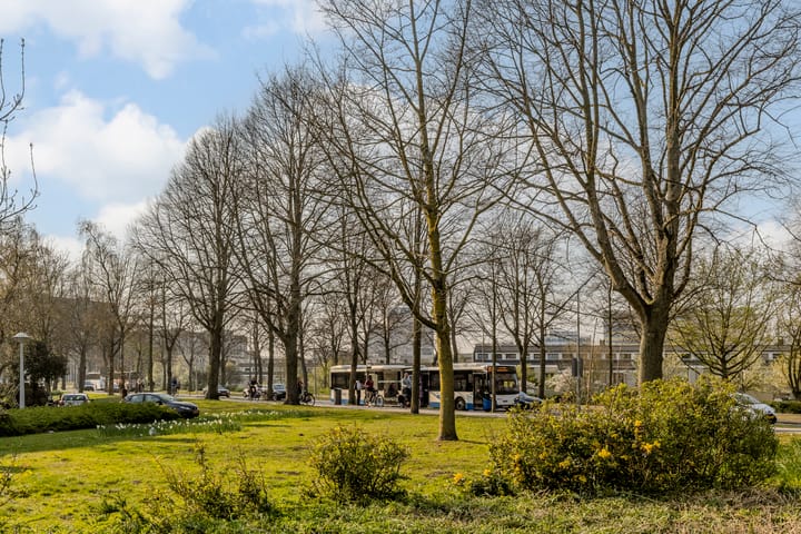 Foto 37 van Von Guerickestraat 79-1