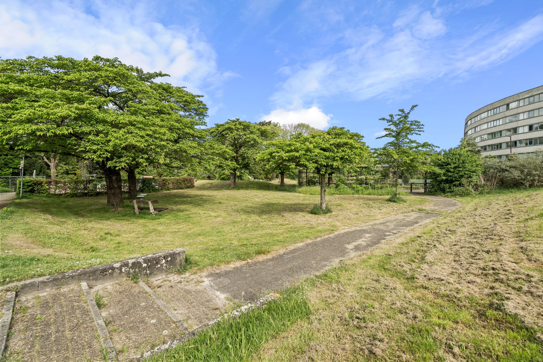 Foto 45 van Aartsbisschop Romerostraat 349