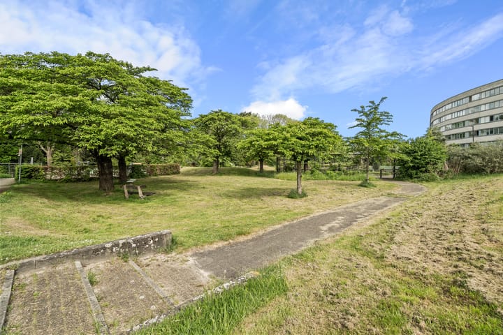 Photo 45 of Aartsbisschop Romerostraat 349