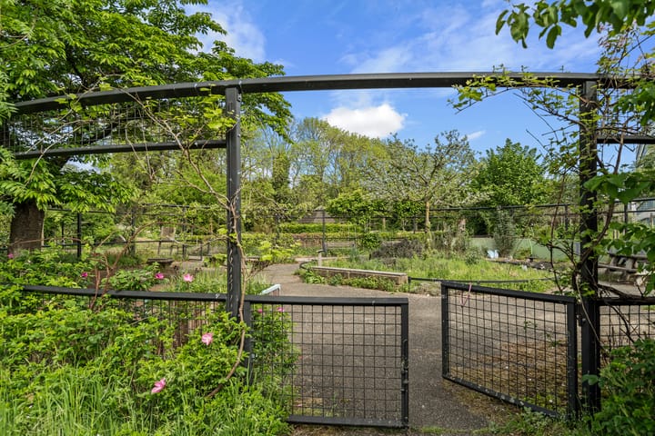 Photo 46 of Aartsbisschop Romerostraat 349