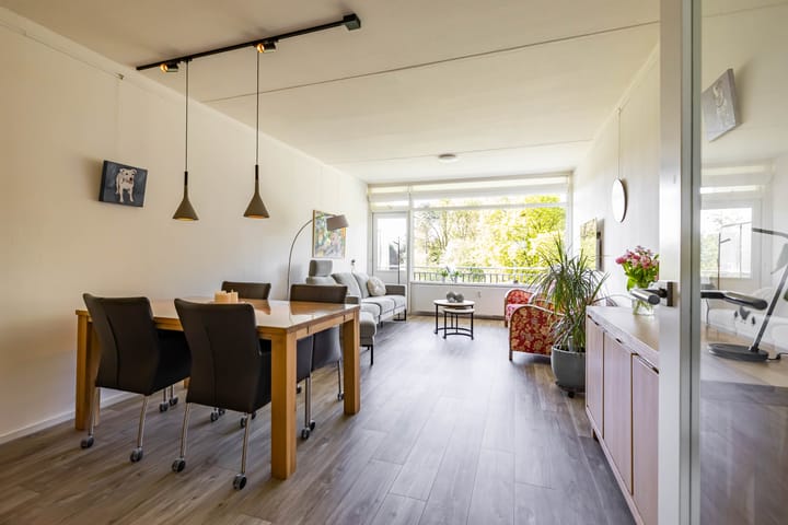 Foto 2 van Johan Willem Frisolaan 30