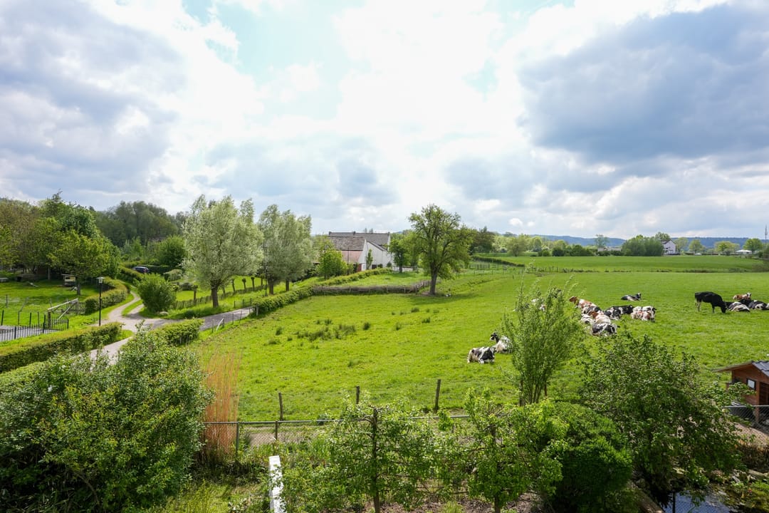 Foto 37 van Oud Lemiers 37