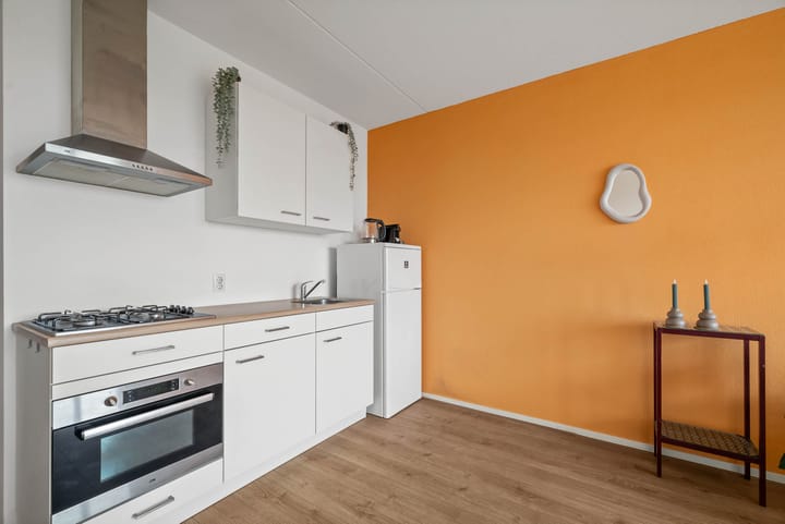 Foto 18 van Pieter van Musschenbroekstraat 103