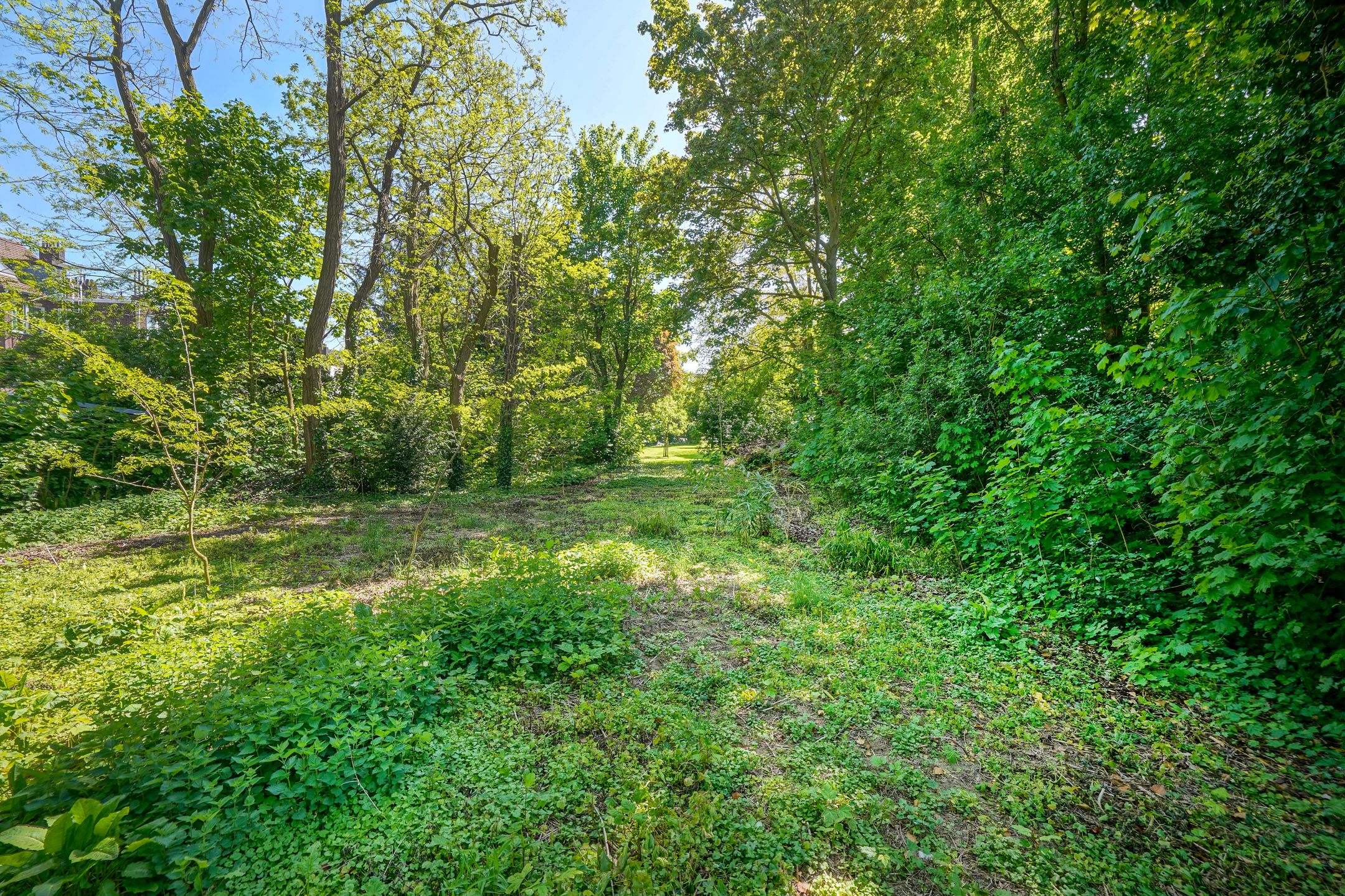 Foto 33 van Scharnerweg 104