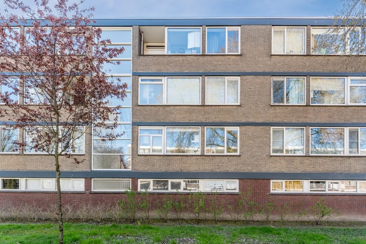 Foto 27 van Drijfhoutstraat 7