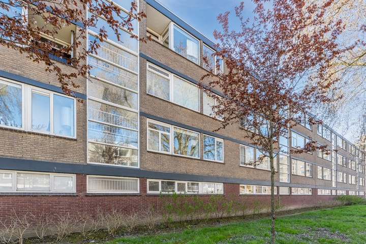 Foto 28 van Drijfhoutstraat 7