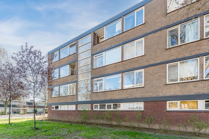 Foto 29 van Drijfhoutstraat 7