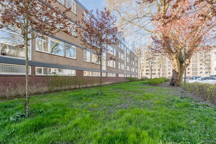 Foto 30 van Drijfhoutstraat 7