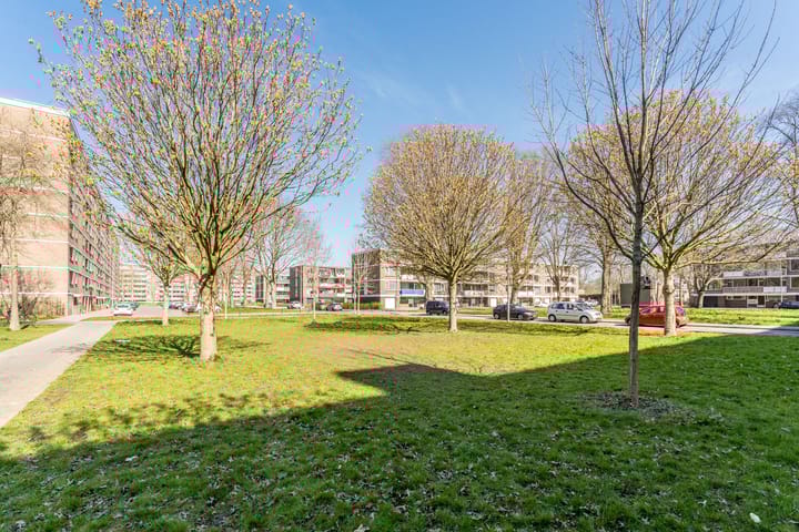 Foto 31 van Drijfhoutstraat 7