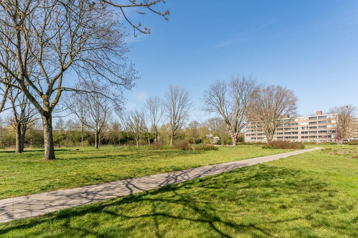 Foto 32 van Drijfhoutstraat 7