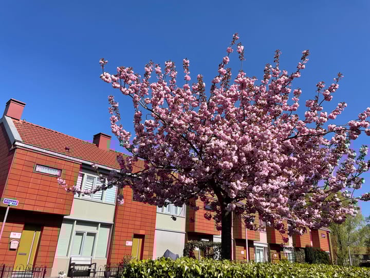 Foto 5 van Klispad 10