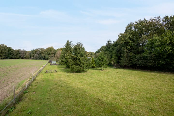 Foto 4 van Sprielderweg 206