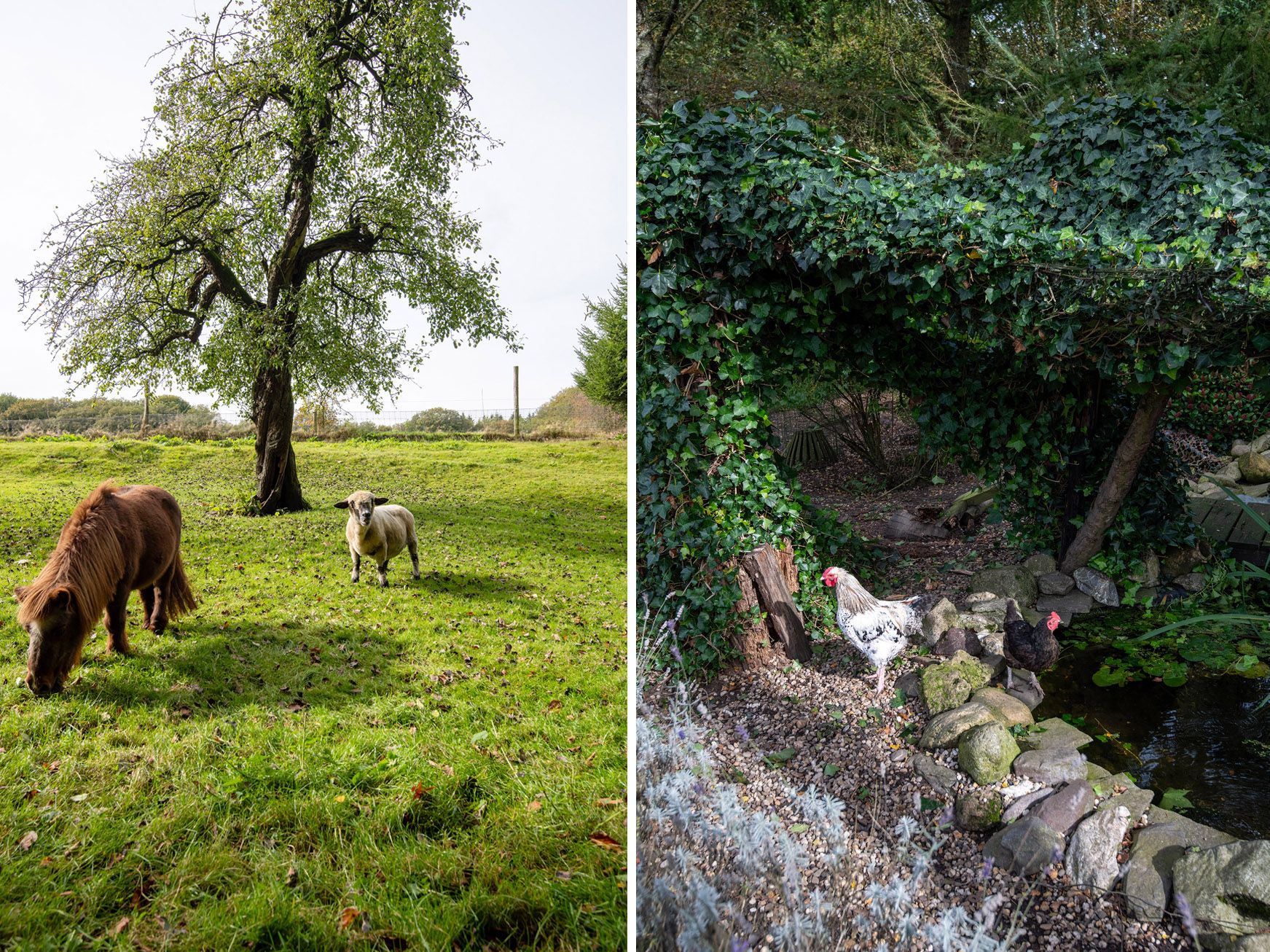 Foto 33 van Sprielderweg 206