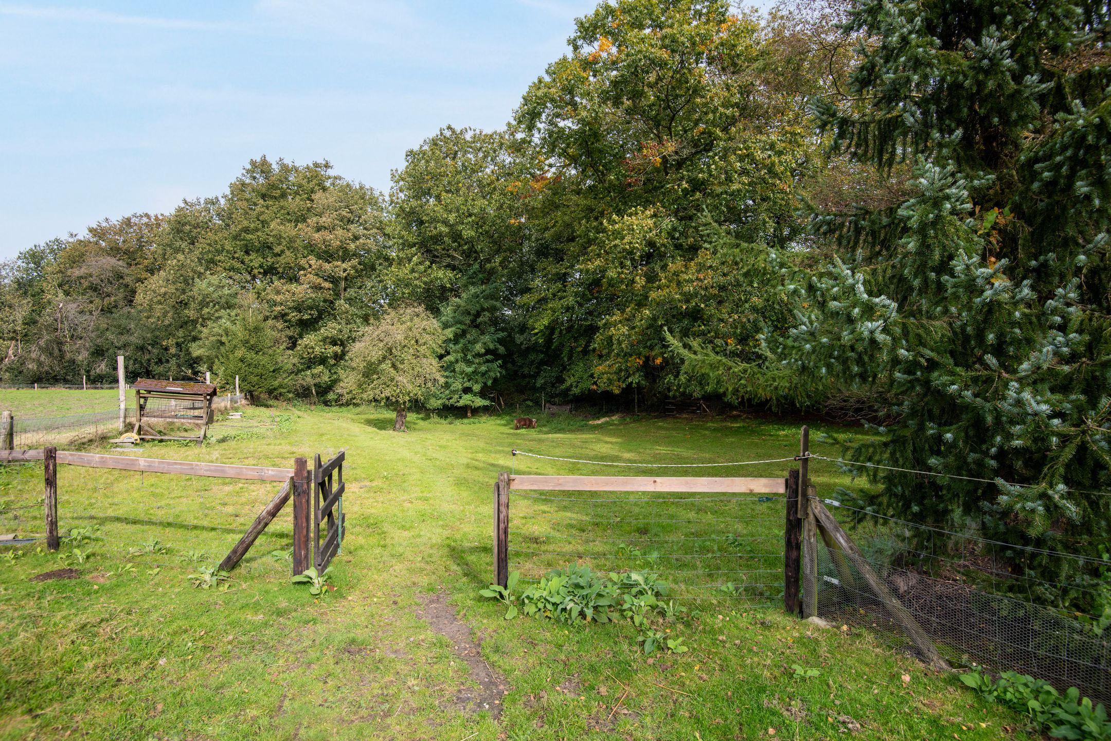 Foto 36 van Sprielderweg 206