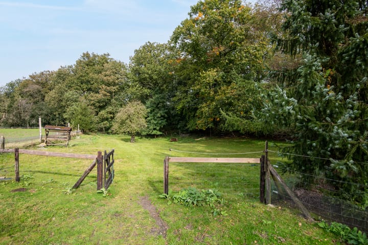 Foto 36 van Sprielderweg 206