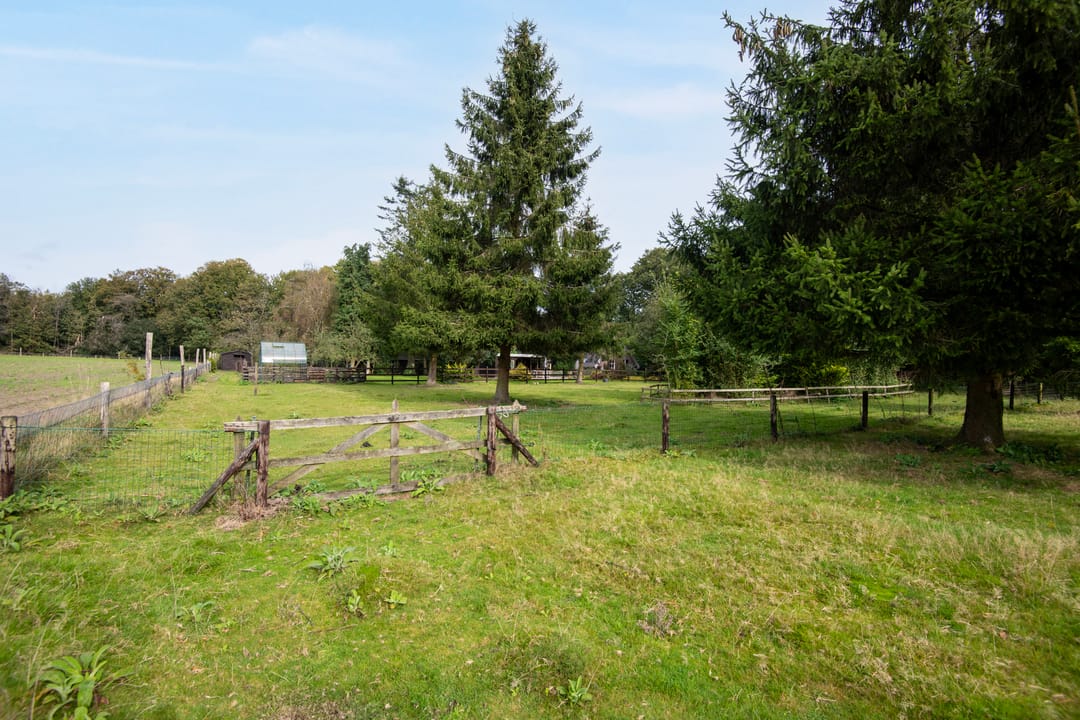 Foto 37 van Sprielderweg 206