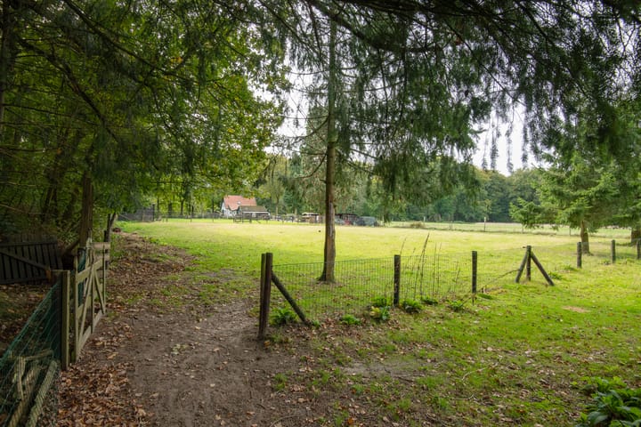 Foto 38 van Sprielderweg 206