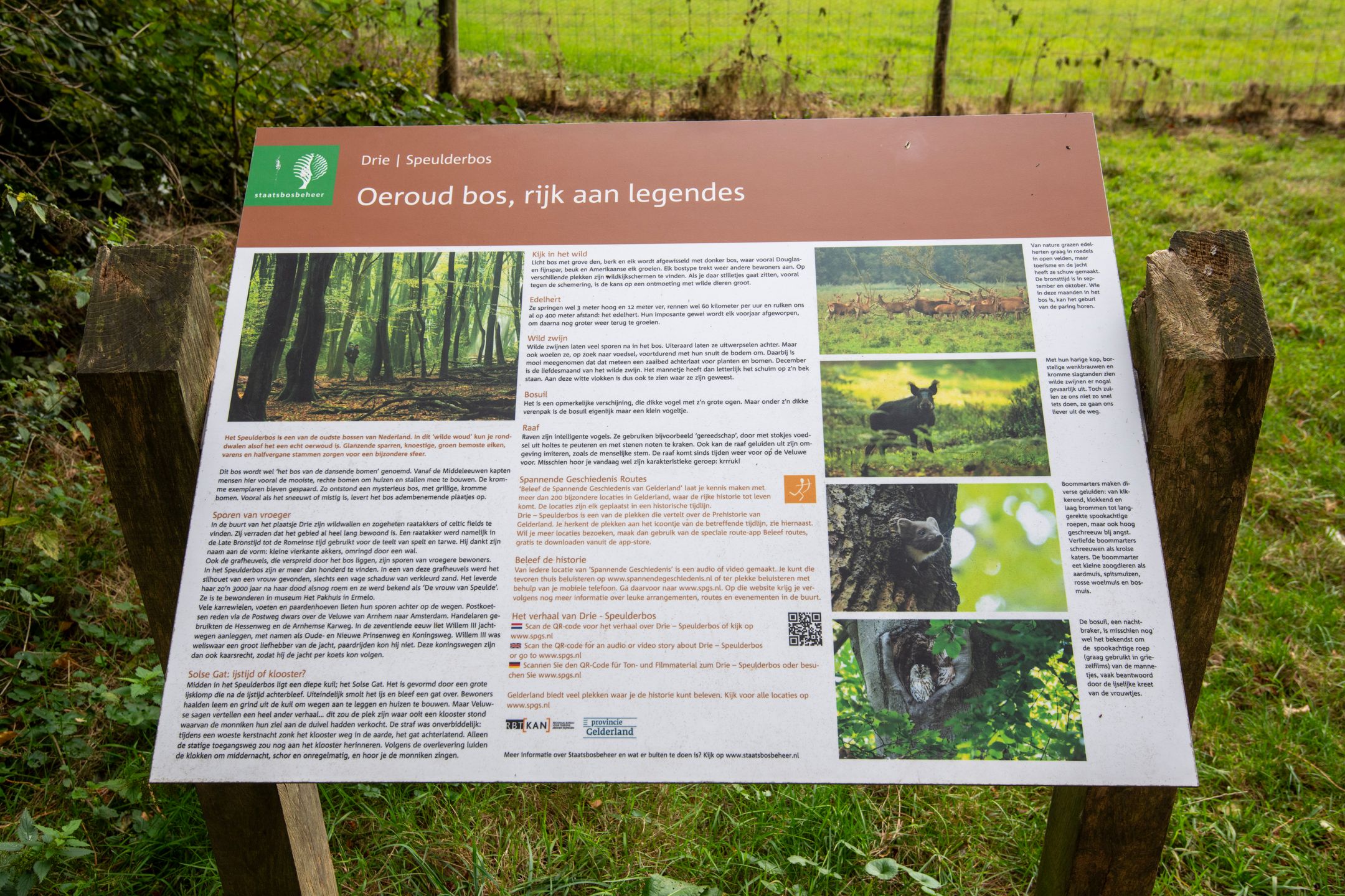 Foto 42 van Sprielderweg 206