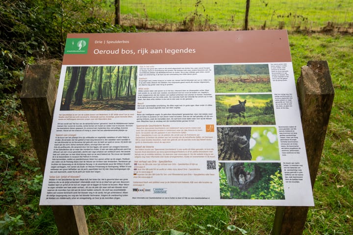 Foto 42 van Sprielderweg 206