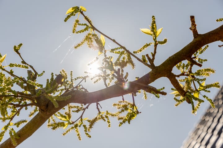 Foto 41 van Leyseput 20