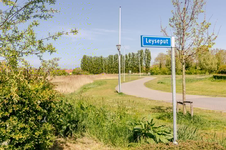 Foto 46 van Leyseput 20