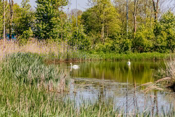 Foto 47 van Leyseput 20