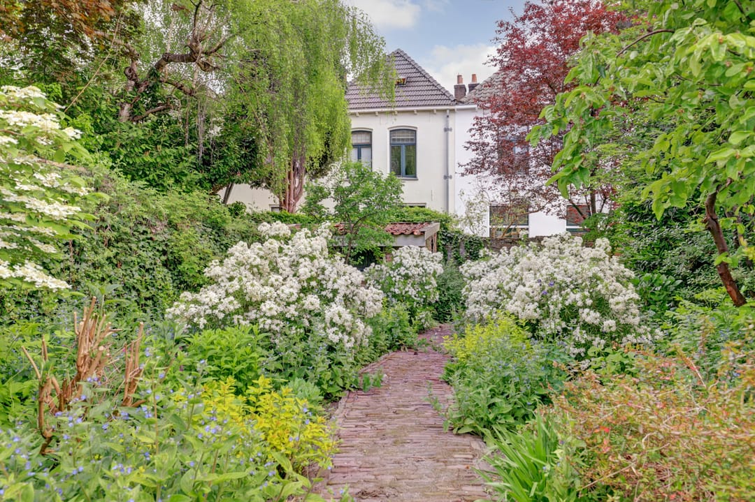 Foto 7 van Walstraat 91