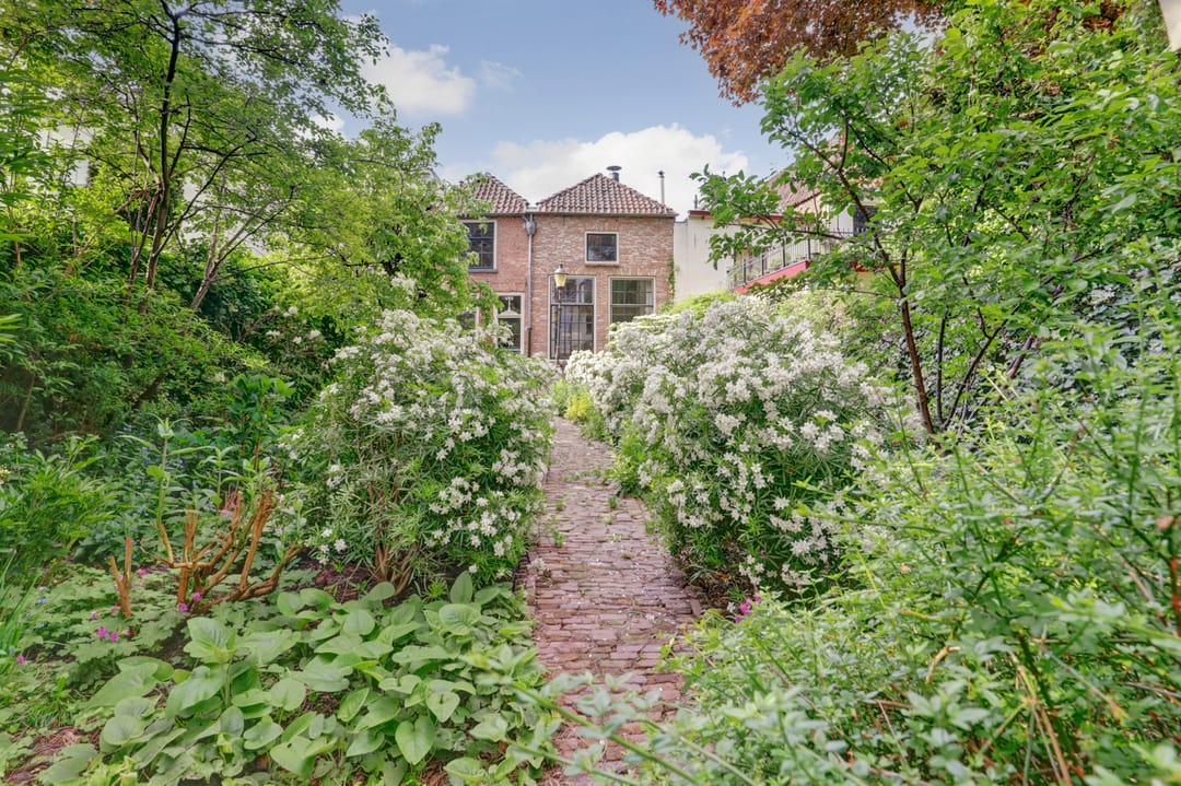 Foto 8 van Walstraat 91