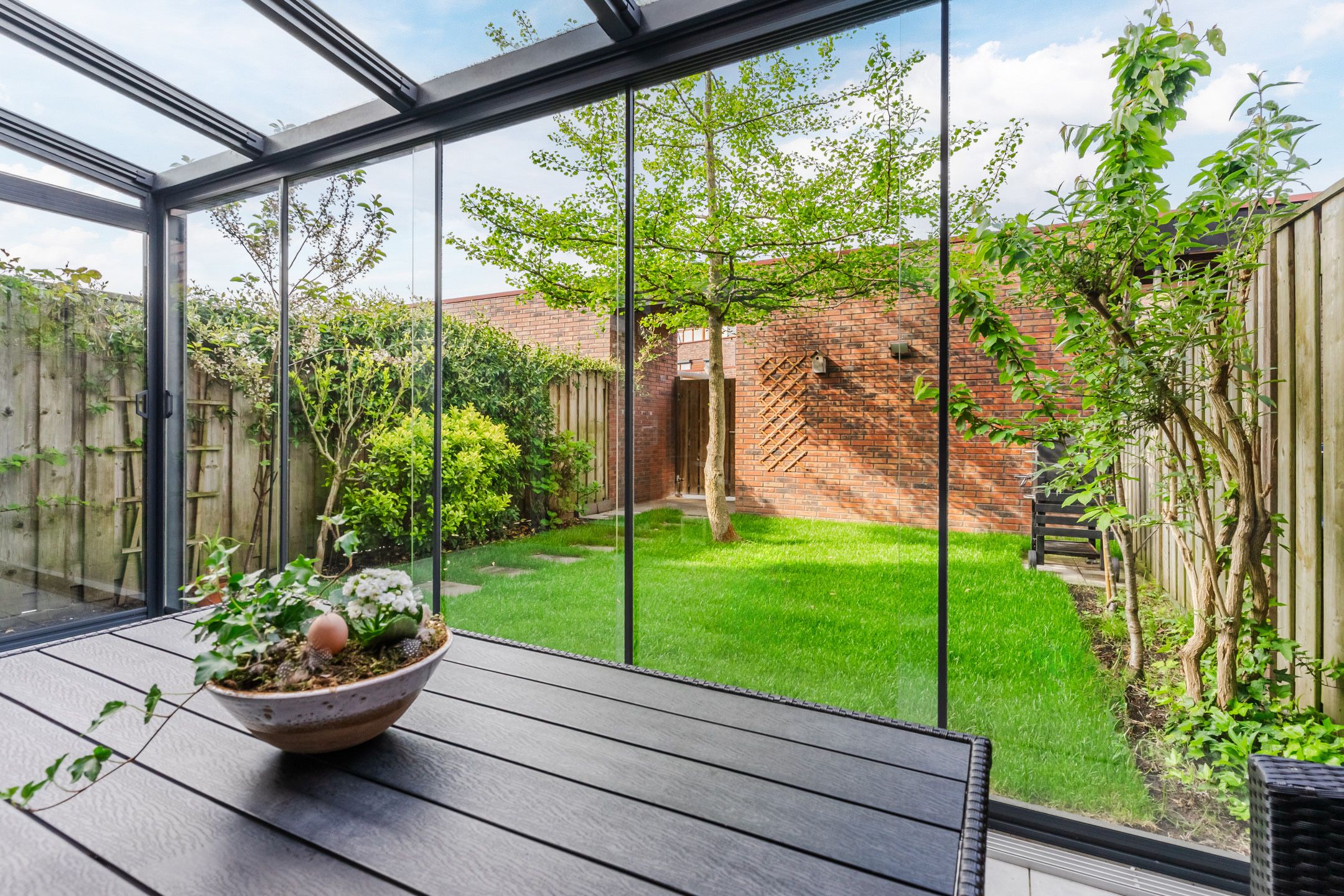 Photo 3 of Grasvogel 37