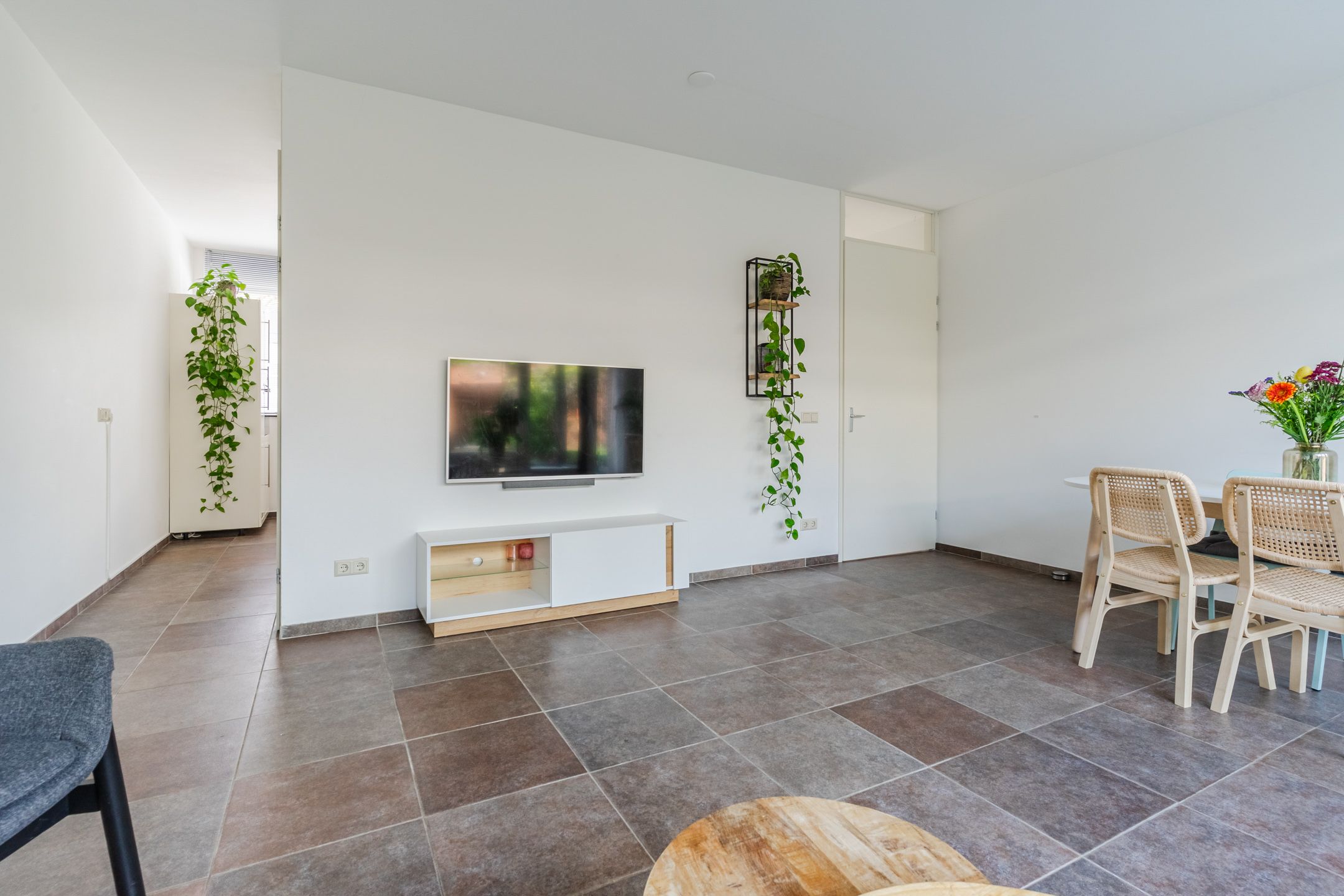 Photo 9 of Grasvogel 37