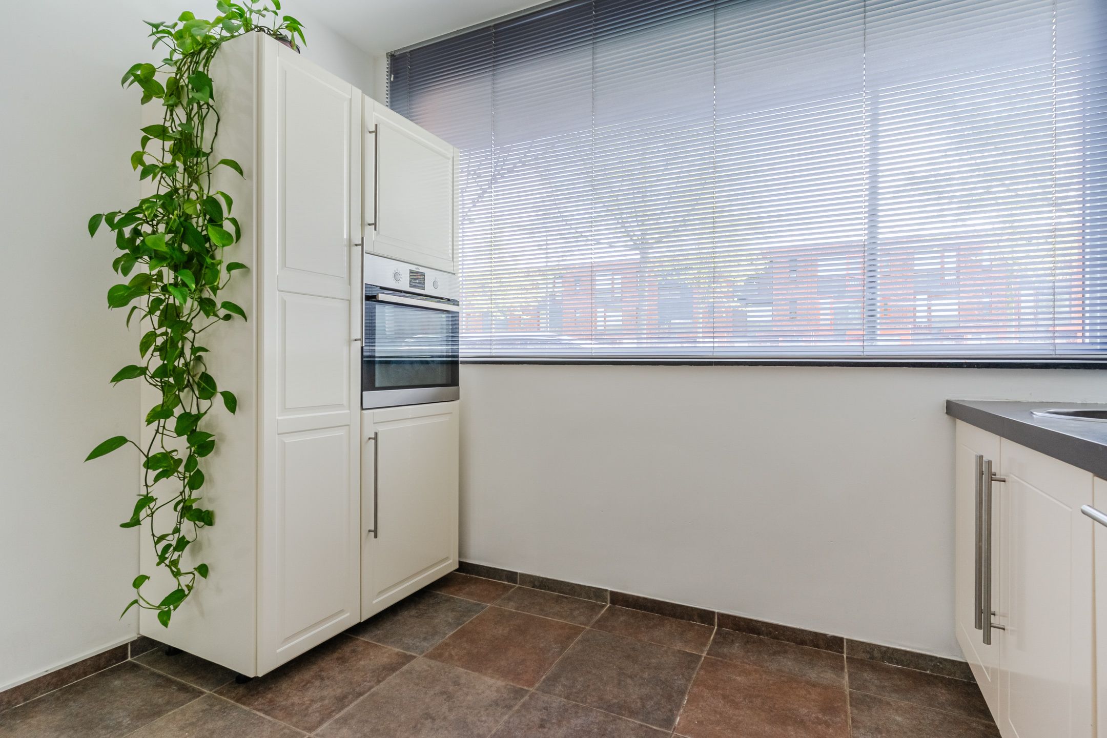 Photo 12 of Grasvogel 37