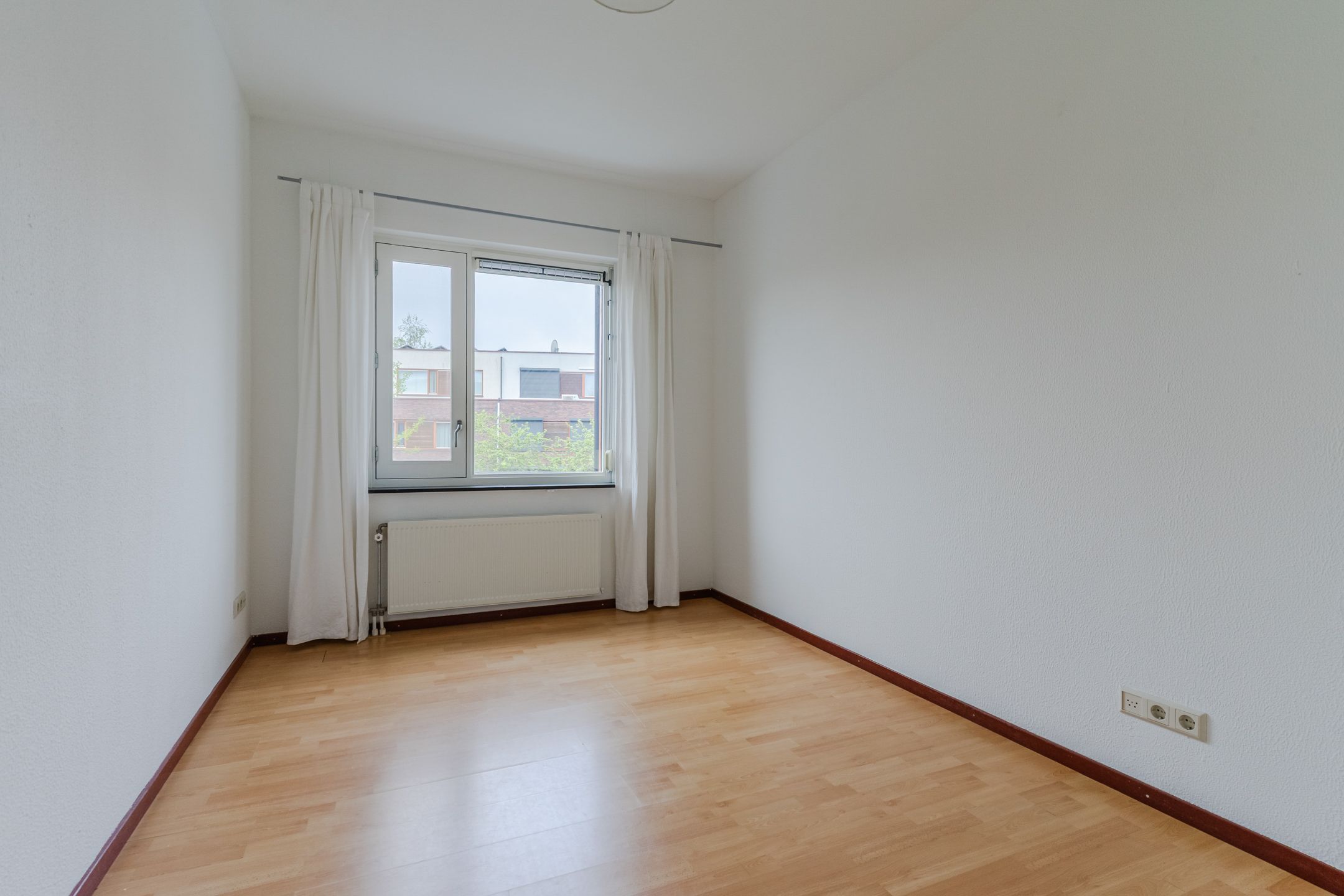 Photo 15 of Grasvogel 37