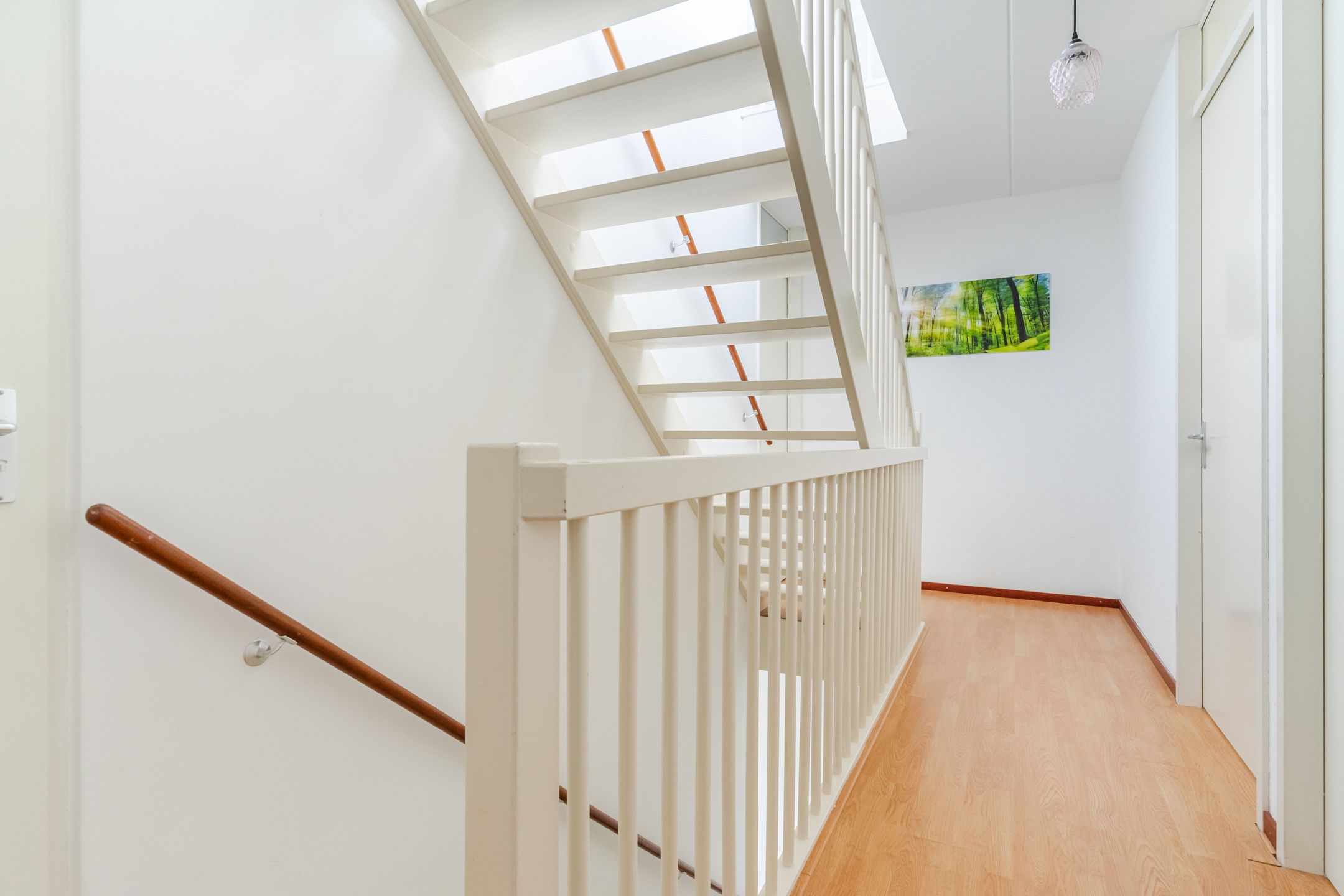 Photo 18 of Grasvogel 37