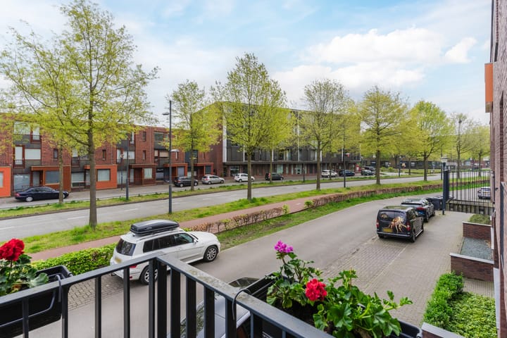 Foto 21 van Grasvogel 37