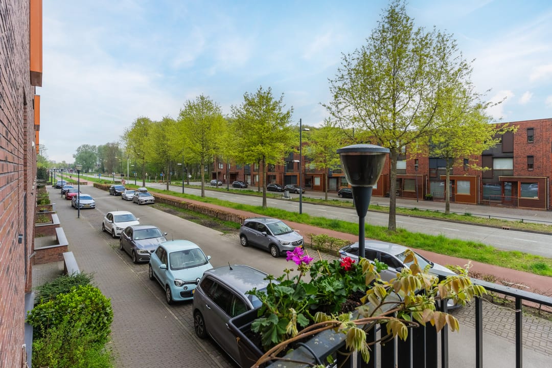 Photo 22 of Grasvogel 37