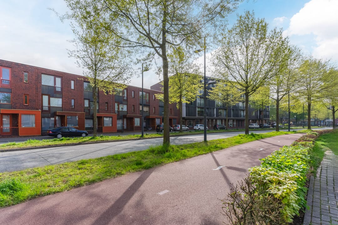 Photo 28 of Grasvogel 37