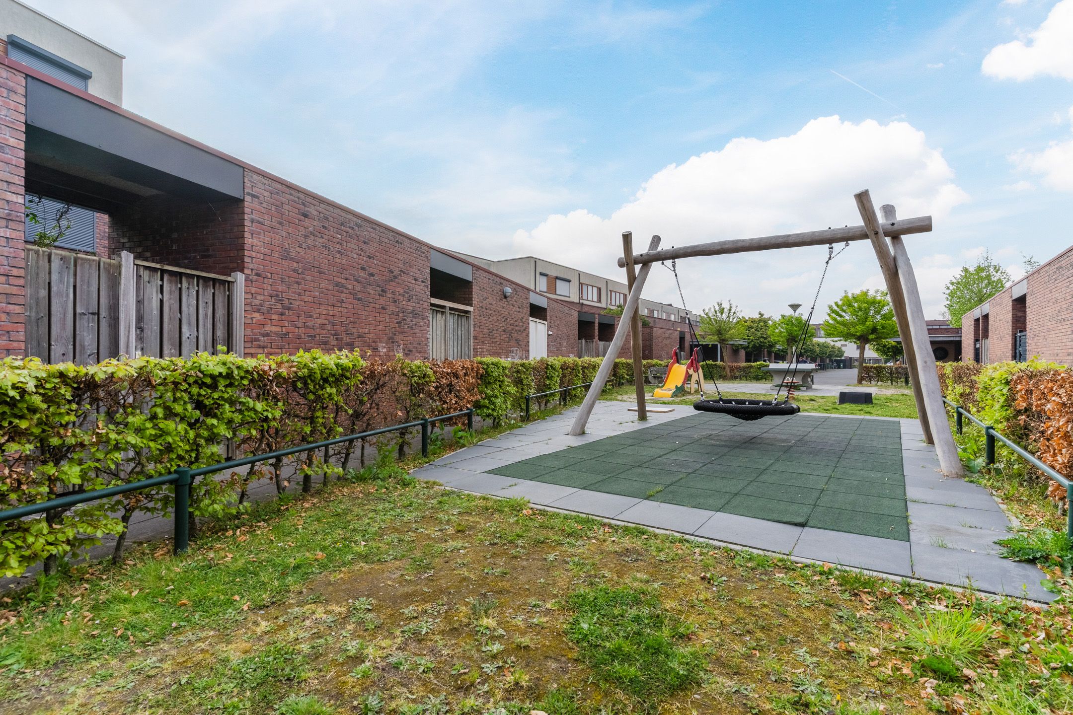 Photo 30 of Grasvogel 37