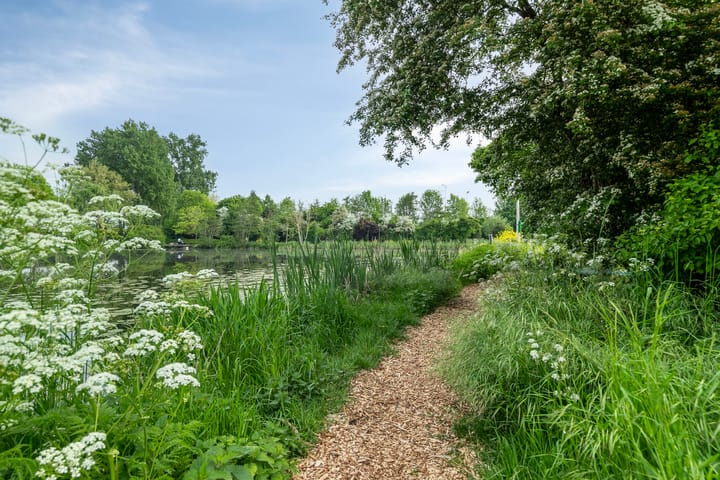 Foto 38 van Elzenhof 9