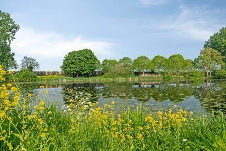 Foto 39 van Elzenhof 9